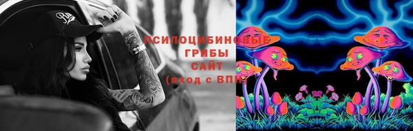 спиды Алзамай
