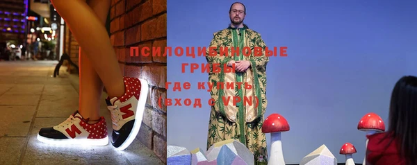прущий лед Алексин