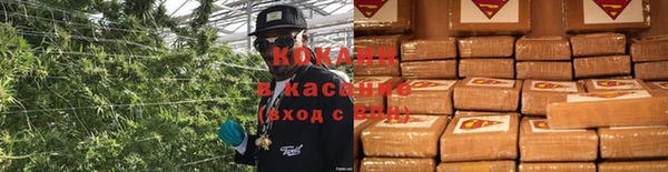 спиды Алзамай