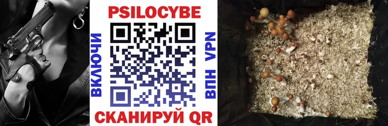 Псилоцибиновые грибы Cubensis  hydra ССЫЛКА  Завитинск 