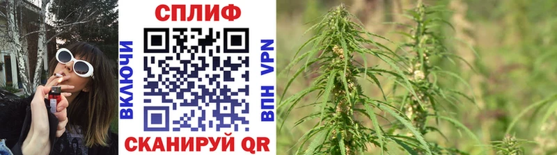 Шишки марихуана план  Завитинск 